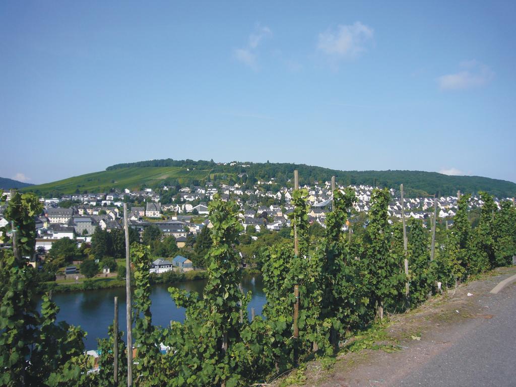 Christiana'S Wein & Art Hotel Bernkastel-Kues Exterior photo